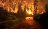 INCENDI BOSCHIVI: PROROGATO IL PERIODO DI MASSIMA ALLERTA