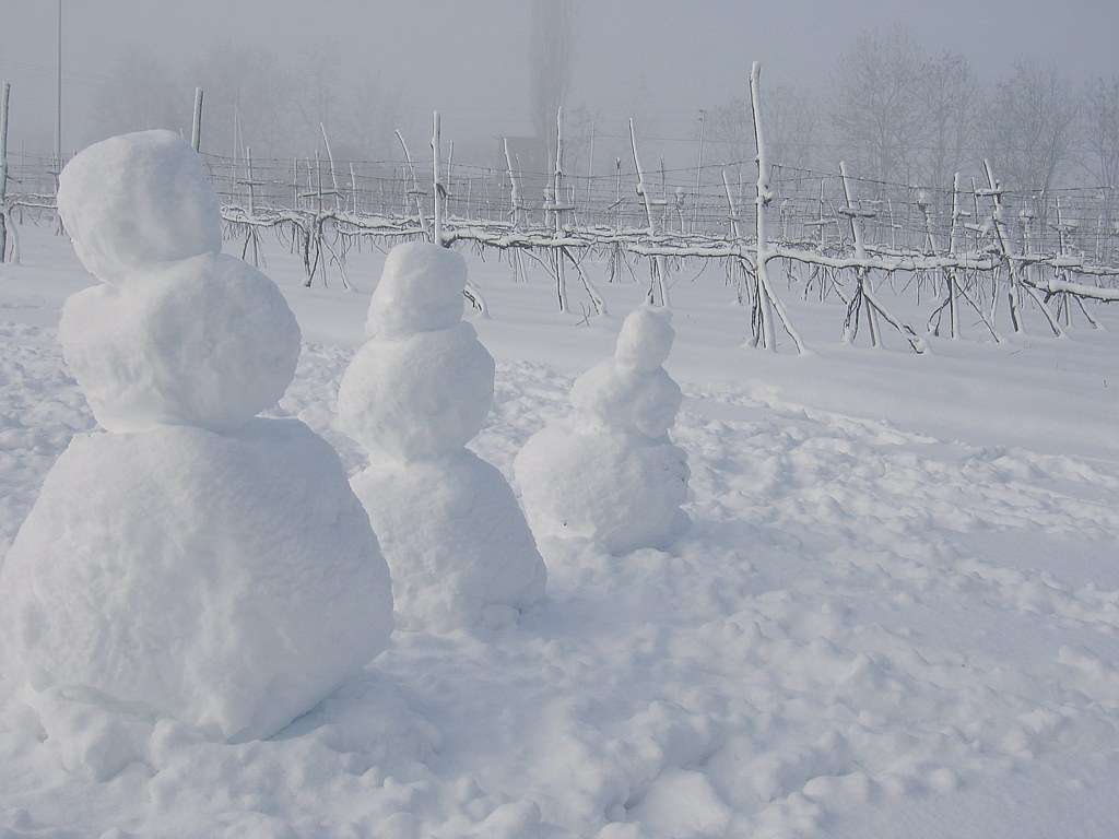 Stanotte possibilità di nevicate e vento forte...