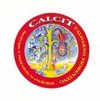 Logo Calcit Valdarno Fiorentino