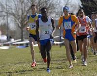 Gran Prix Toscano di corsa campestre